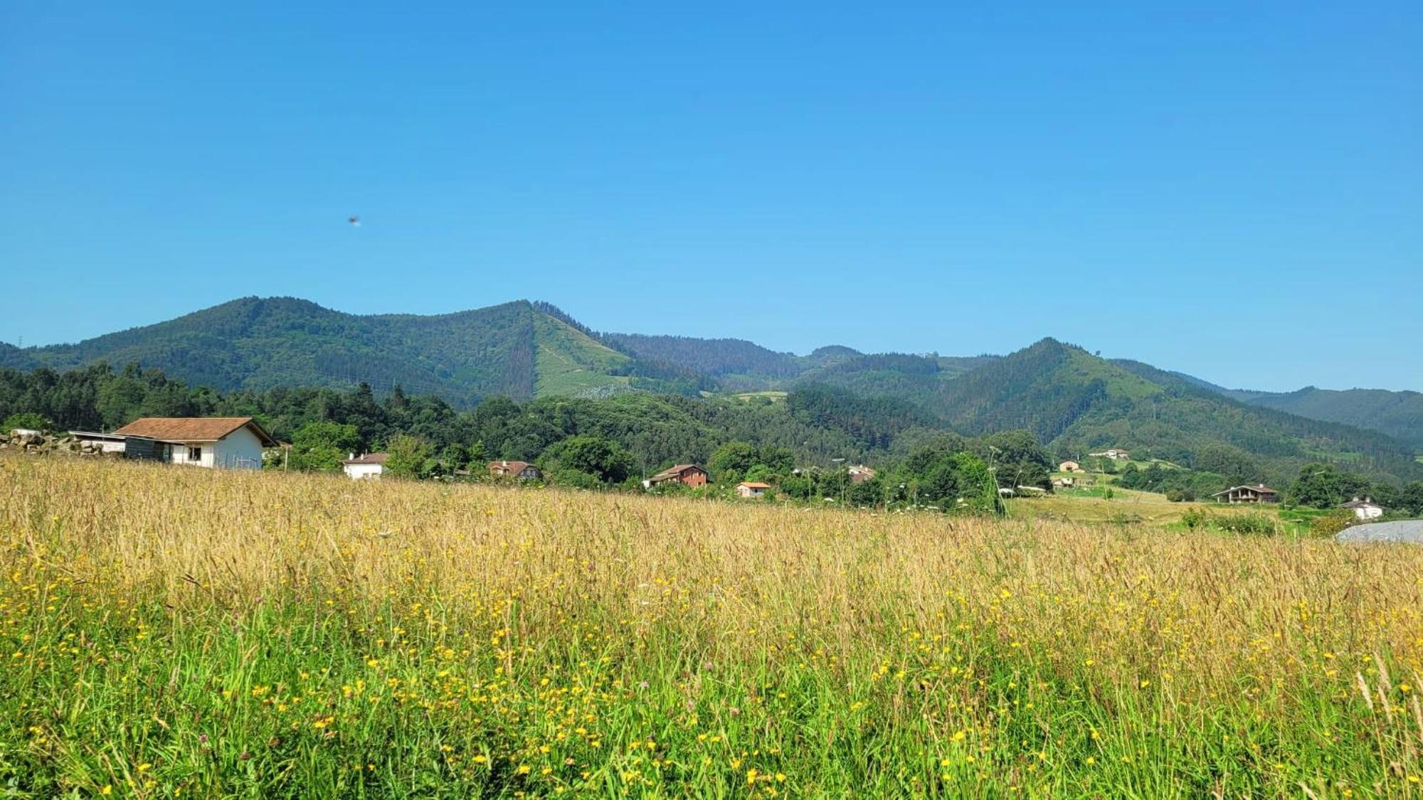 Hotel Aldori Landetxea - Reserva De La Biosfera Urdaibai - Adults Only Мухика Экстерьер фото